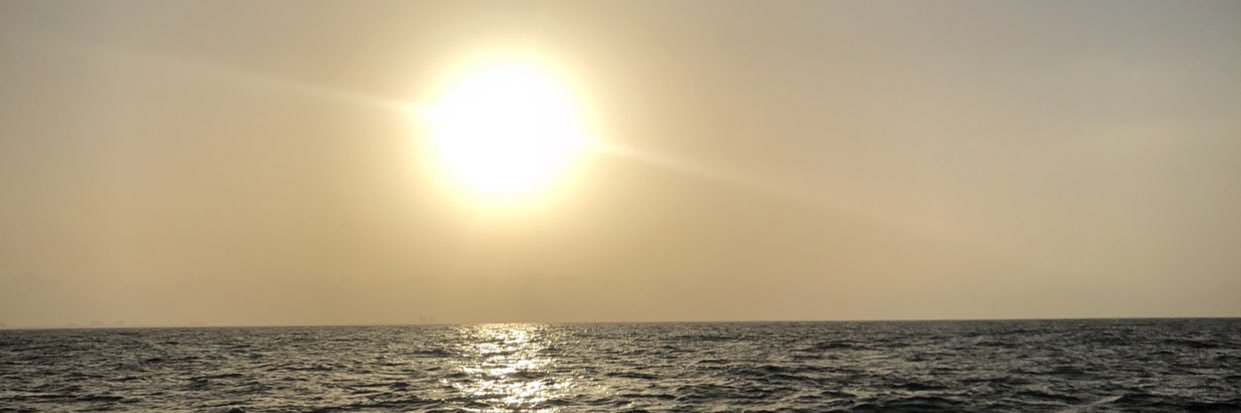 Jamesdisrud's profile banner image