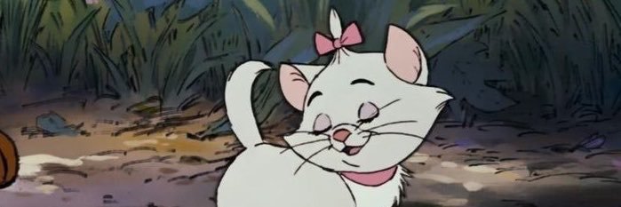 jeniffercvf's profile banner image