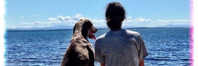 neecolaa2's profile banner image