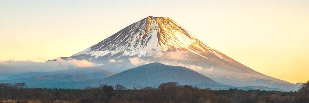 受け入れる banner