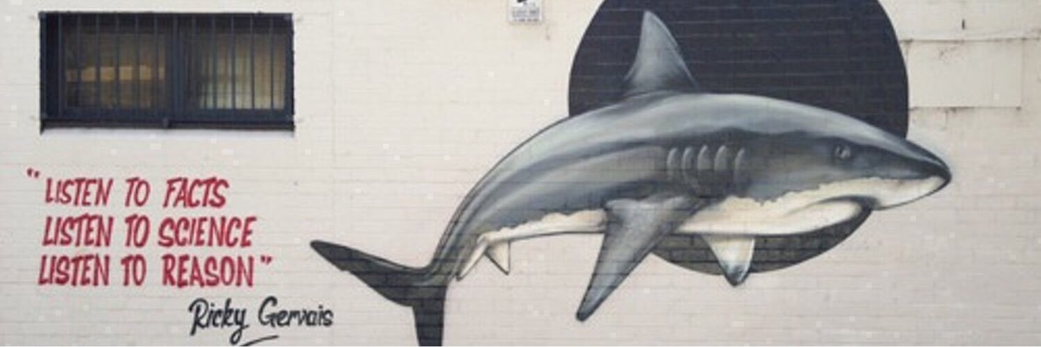 nosharkcull1's profile banner image