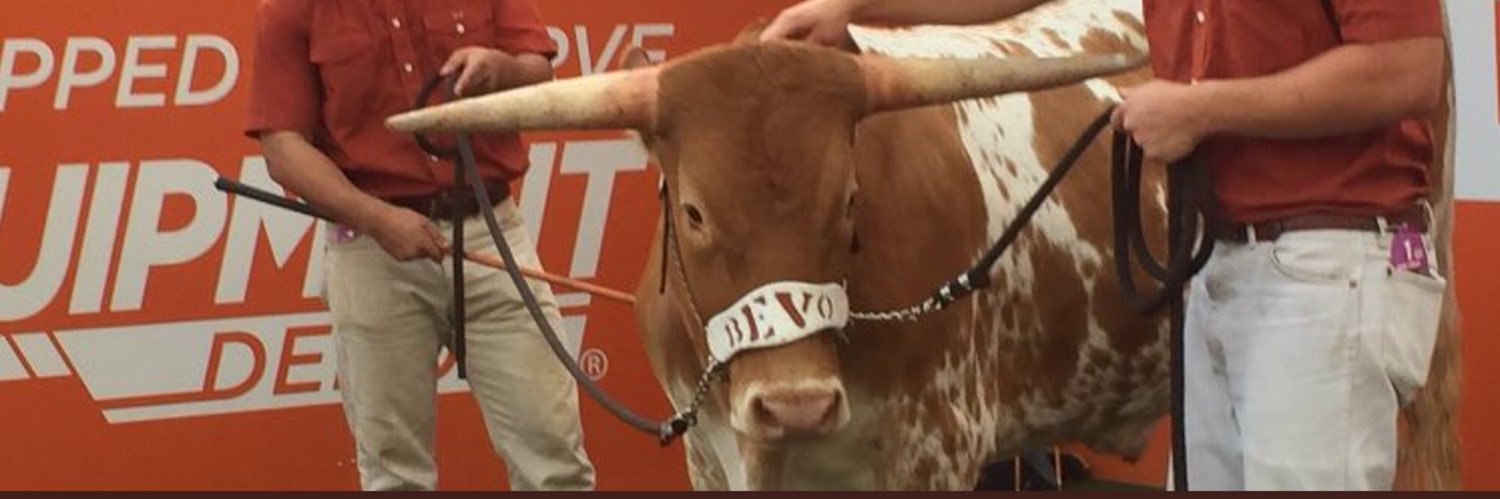 NativeTXN227's profile banner image