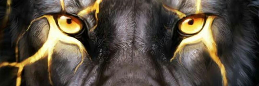 Anassinho78's profile banner image