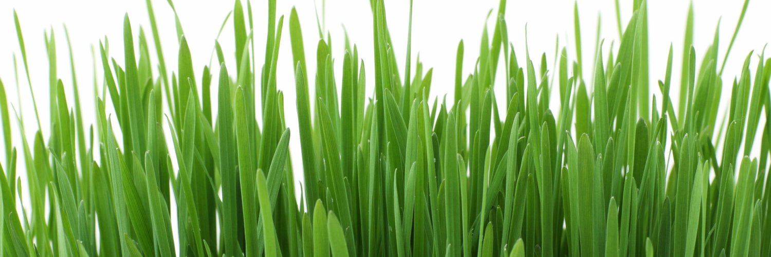 evapedia's profile banner image