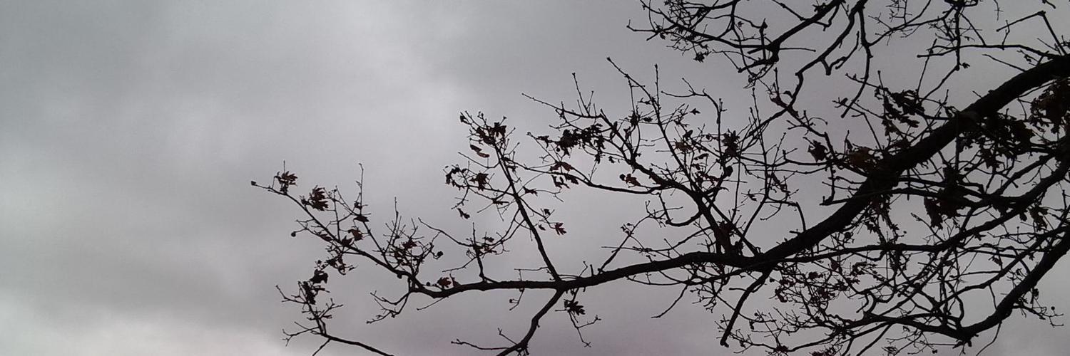 _cavities's profile banner image