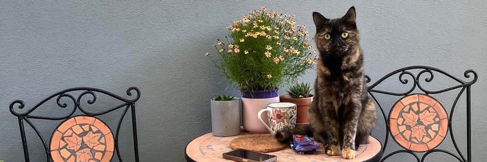 Ron @Docker99@mstdn.social banner