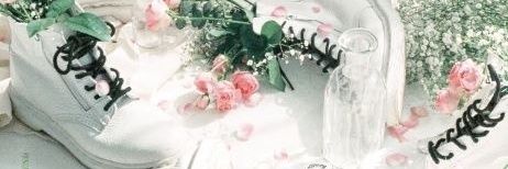 스위트피 banner
