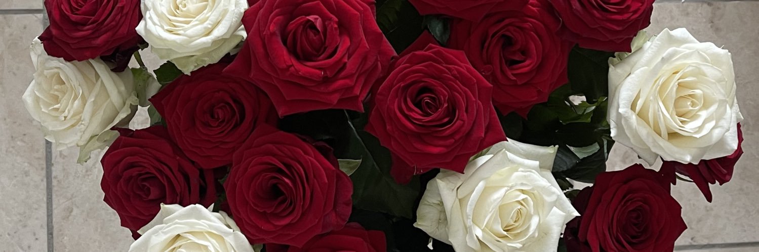 demimi62's profile banner image