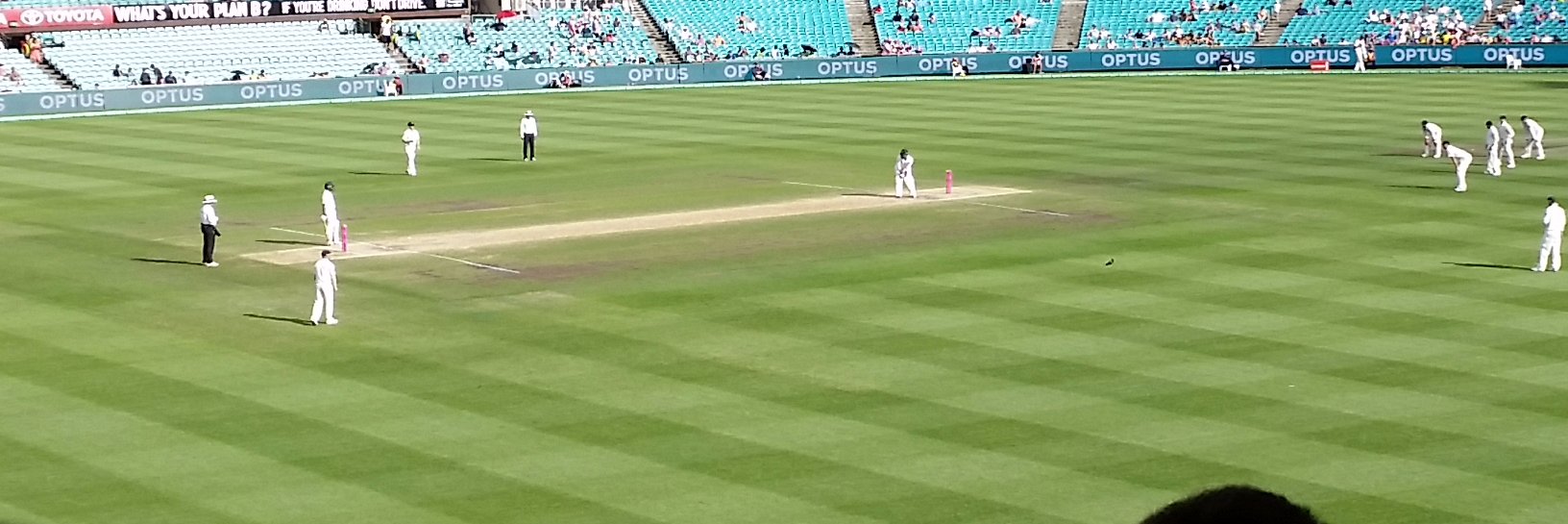 David P Smith banner