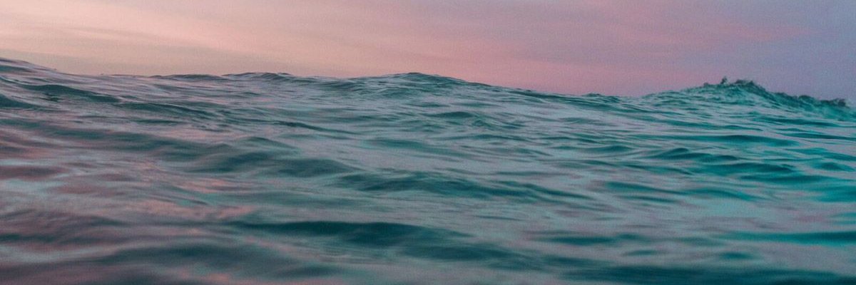 Dana Brej banner
