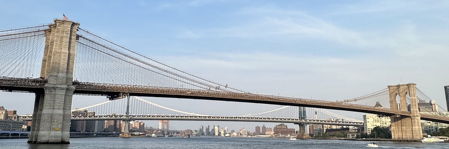 Hillary Brady banner