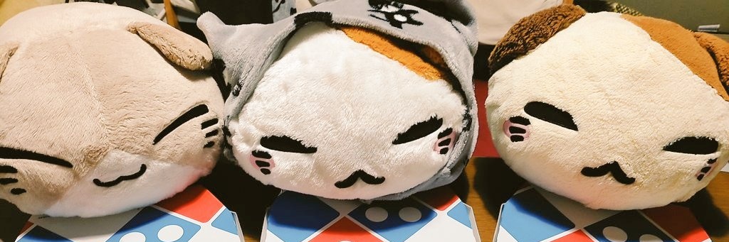 すこ banner