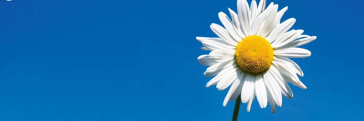 Joanne Simmons banner