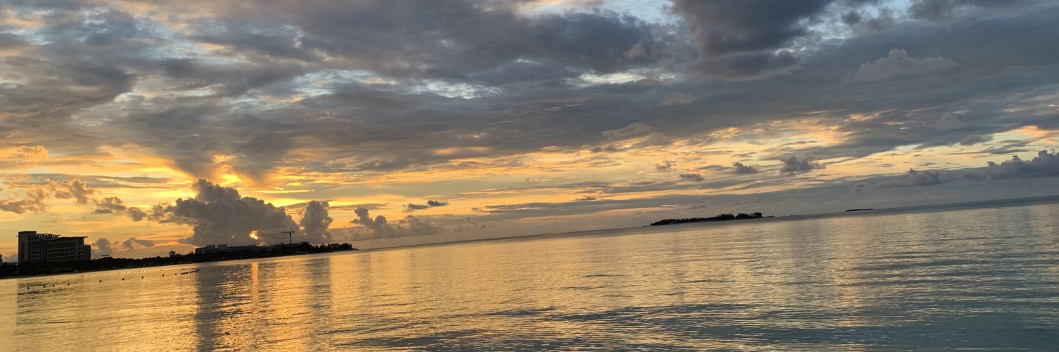 karinadag's profile banner image