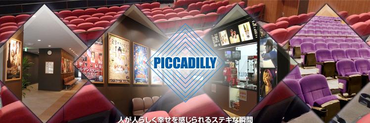 piccadilly53's profile banner image