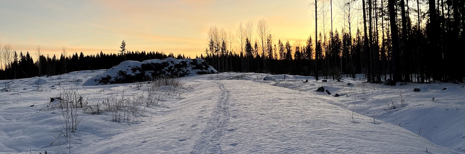 ollippon's profile banner image
