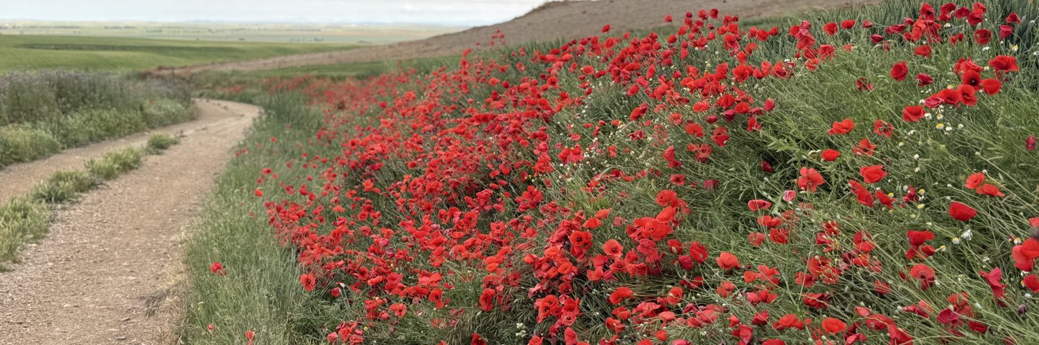 🎸💉David💉🎸 banner