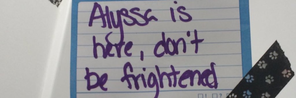 shorttfuse_'s profile banner image