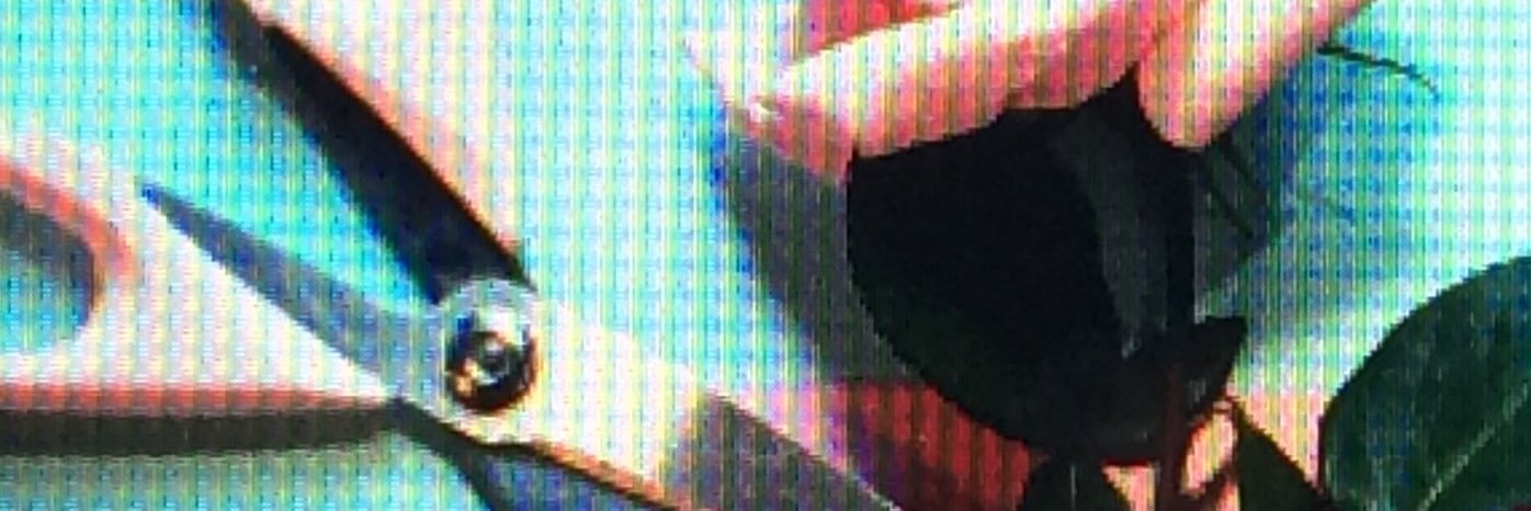 BetterHeroesLB's profile banner image