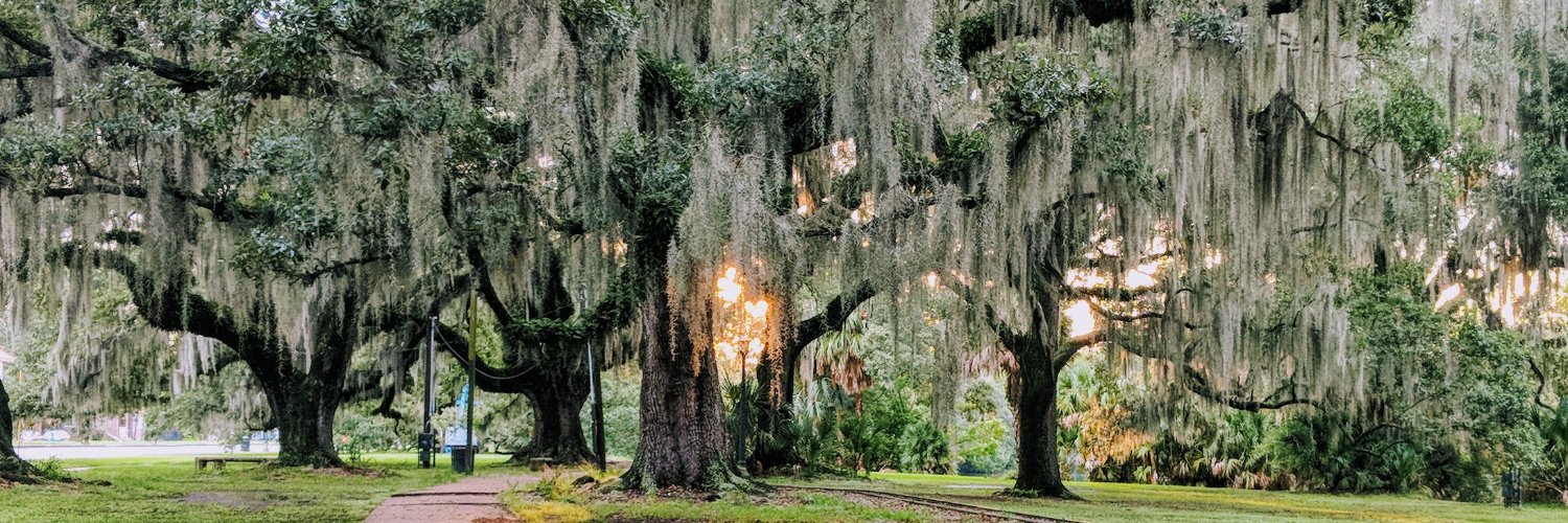 Amanda Bankston banner