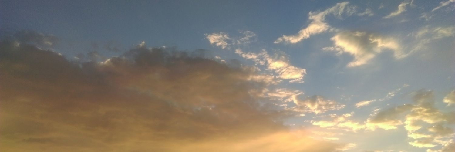 yanting84's profile banner image