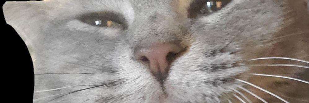 emcvrt222's profile banner image