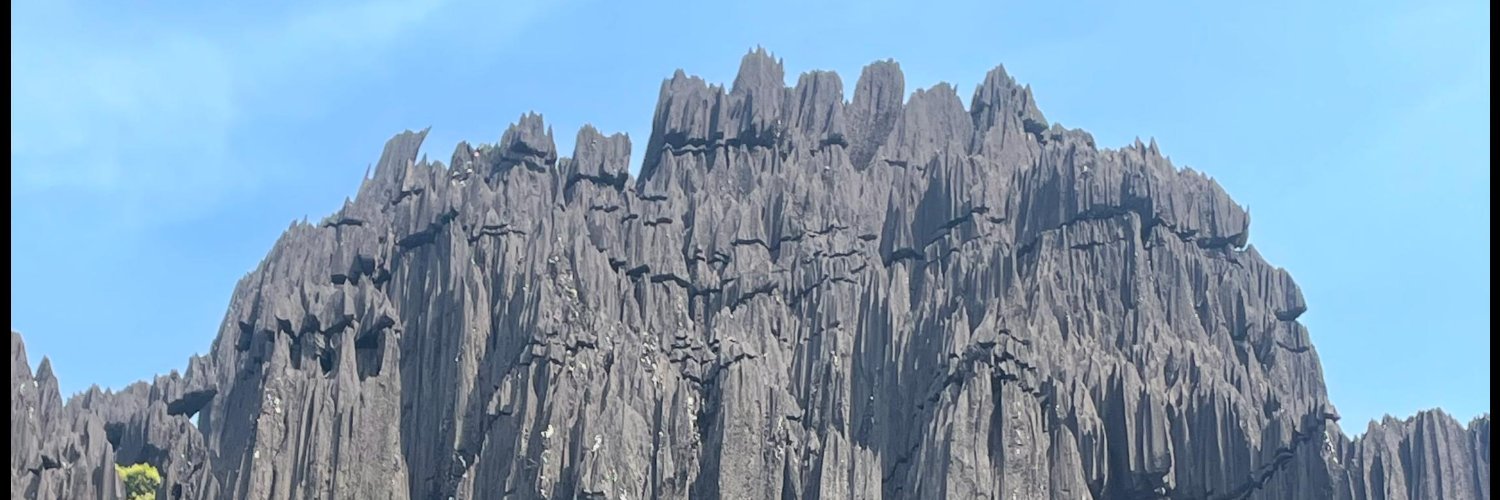 Sateesh G Chelikani banner