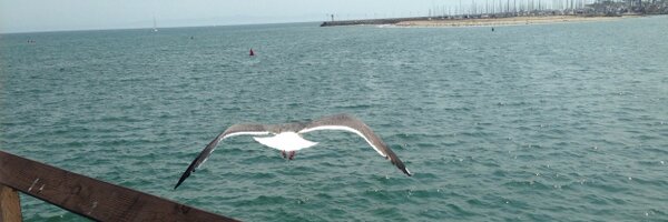 TmthyPatrick Profile Banner