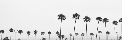 ayamrqta ♡ banner