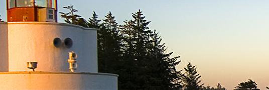 MariaAntellez's profile banner image