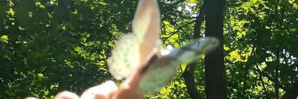 elleniii_'s profile banner image
