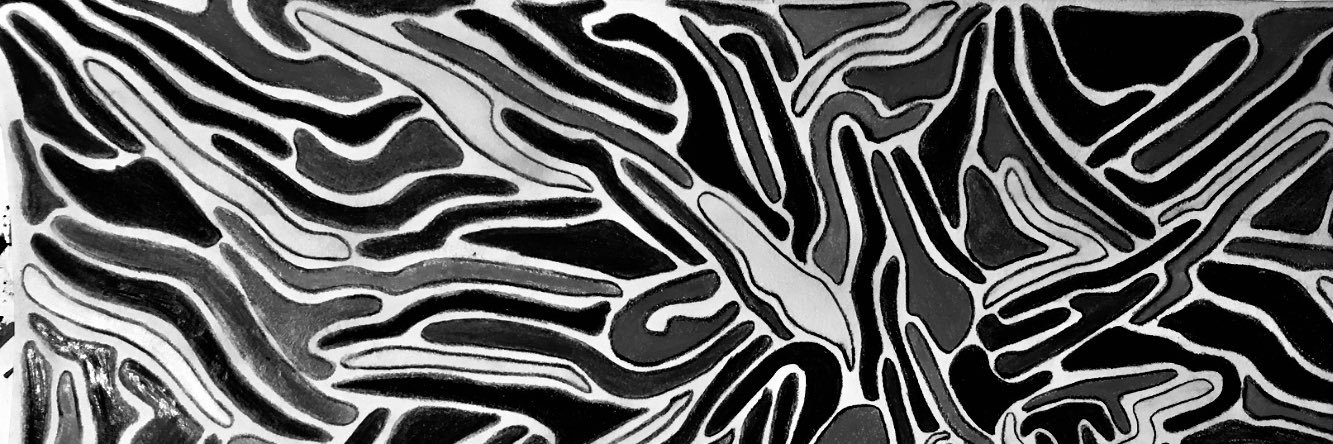 AaronCarnevale's profile banner image