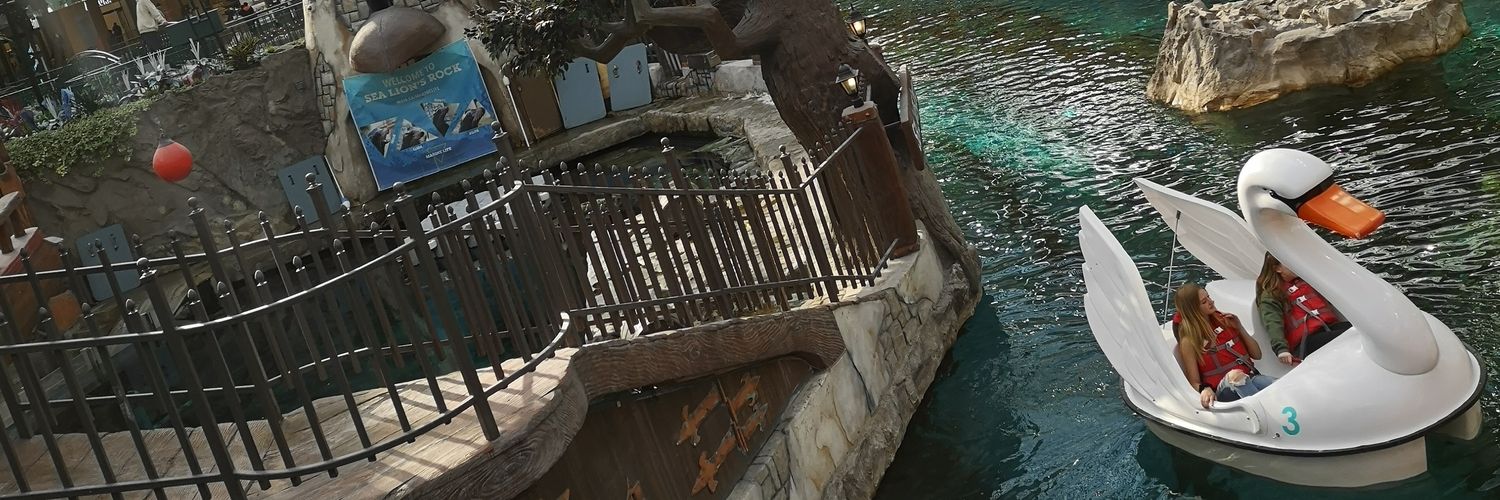 m2gak's profile banner image
