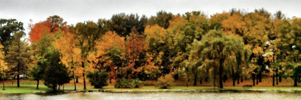 mia_421's profile banner image