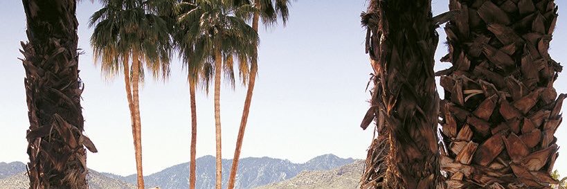 Tanner Henkel banner