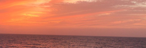 emiliacmr5 Profile Banner