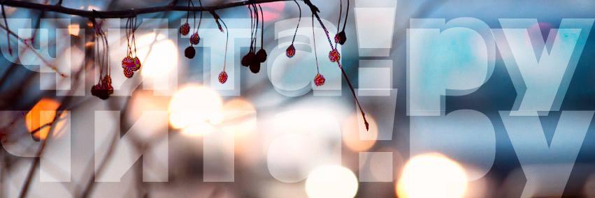 shaitanova's profile banner image