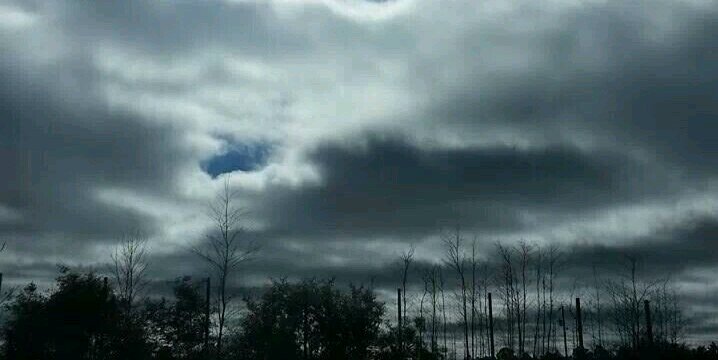 🎵 Brenska 🎵 banner