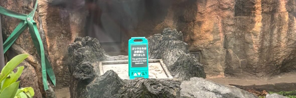 ぶどう🍇 banner