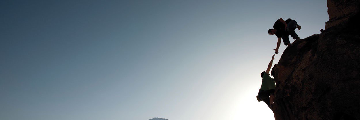 BrunoBremond's profile banner image
