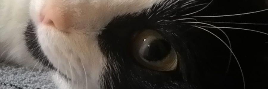 AndreadeAlbeniz's profile banner image