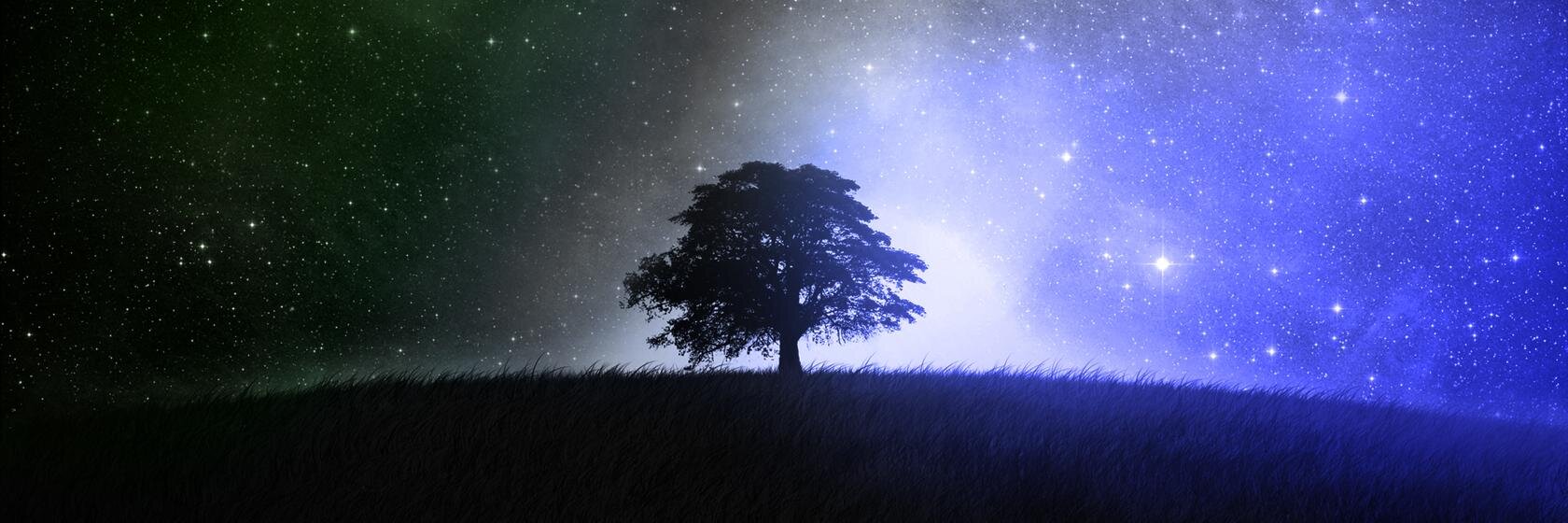 imshivanyy's profile banner image