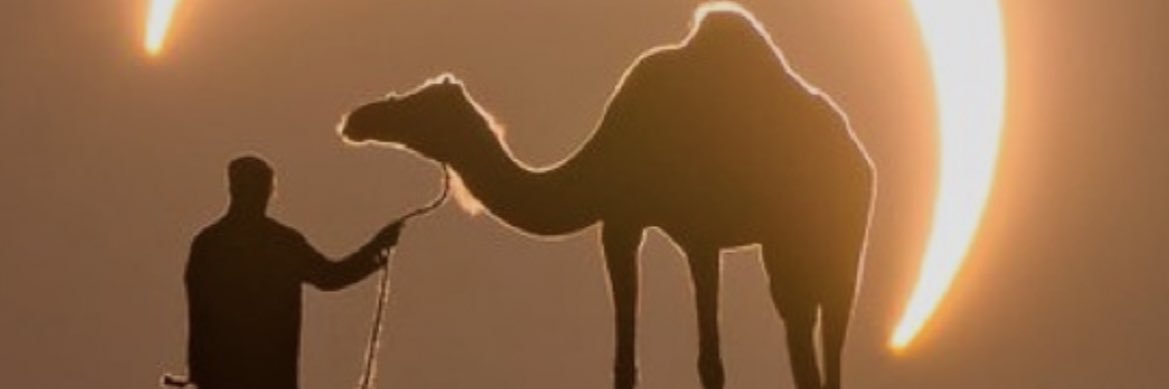 TheUncleDrewJr's profile banner image