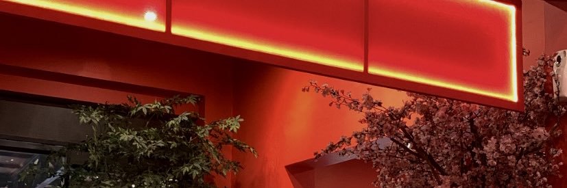 solasidorema's profile banner image