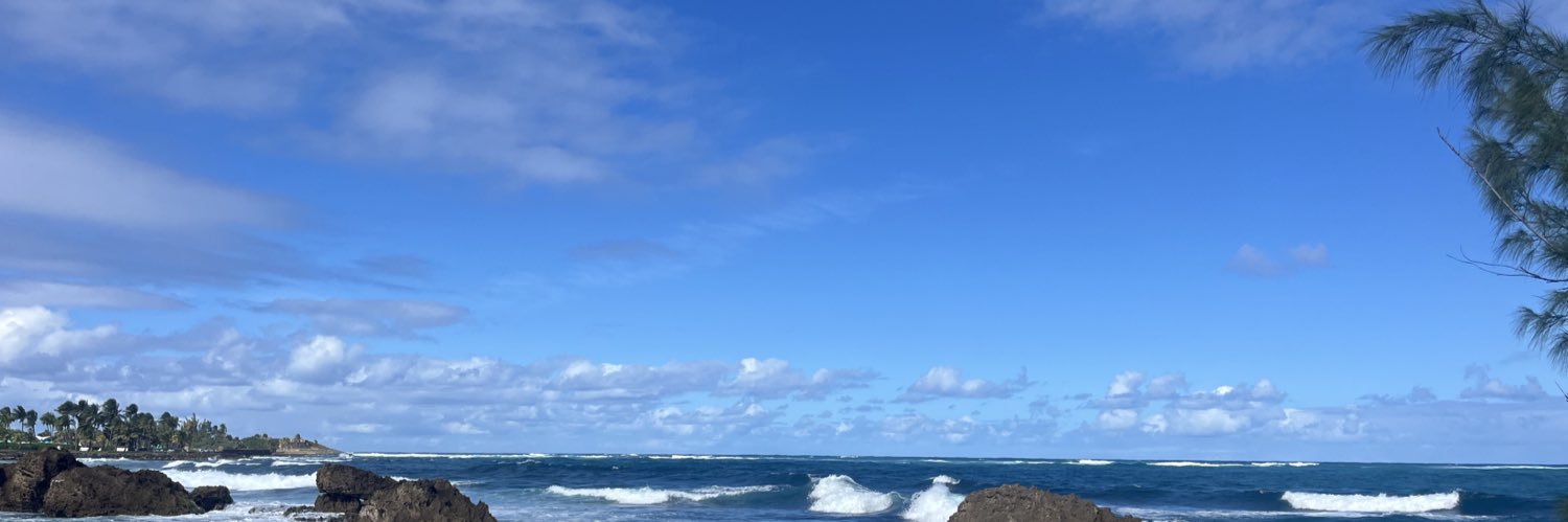 stealthtradesx's profile banner image