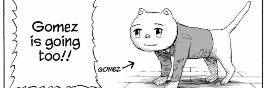 Colorfulraccoon's profile banner image