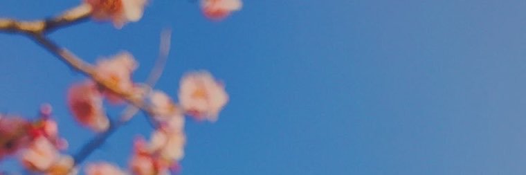 Lichtstony's profile banner image