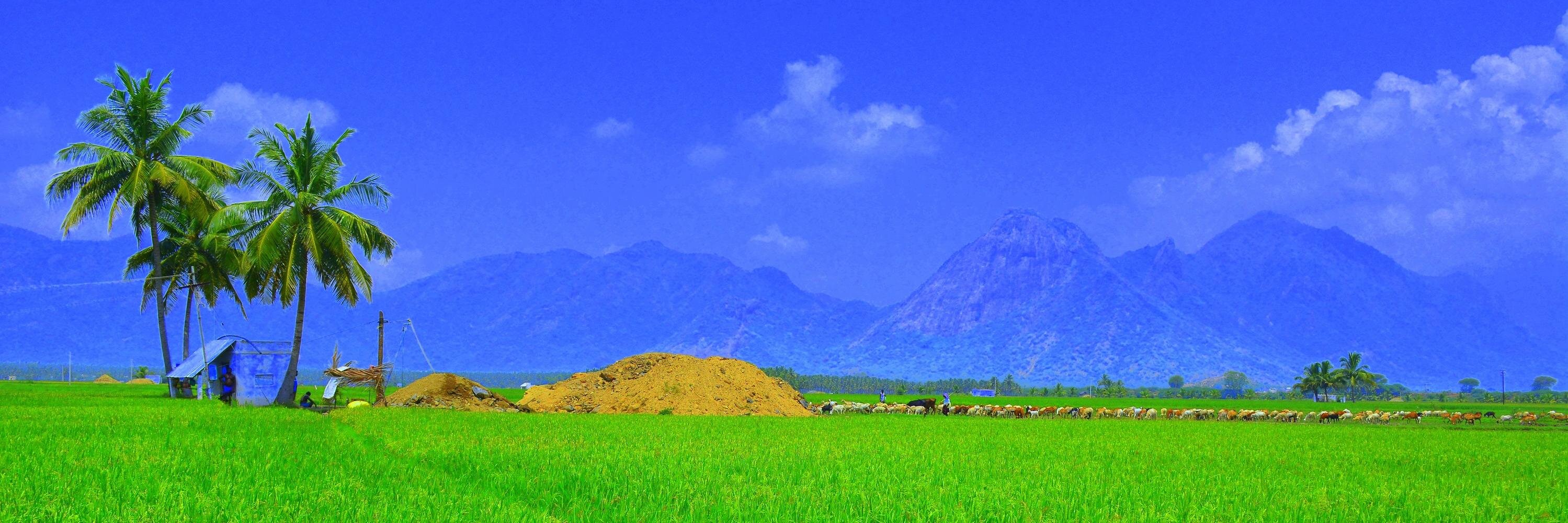 CastroAnand's profile banner image