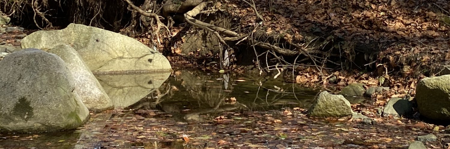 Karen Norton-Smith banner