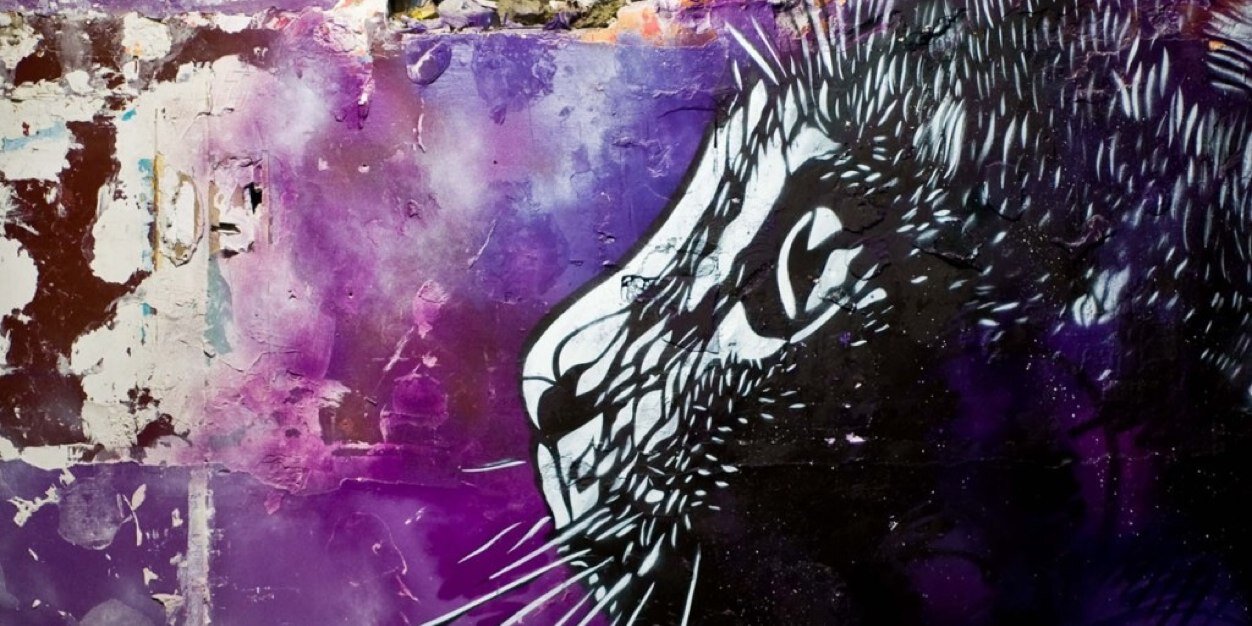 lespiedsdanslO's profile banner image